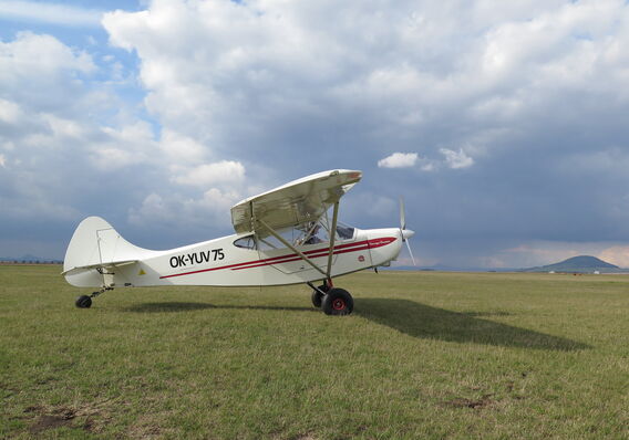 Savage Cub Cruiser